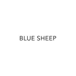 LOGO-BLUE-SHEEP-1